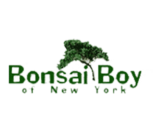 Bonsai Boy of New York Coupons & Promo Codes 2023